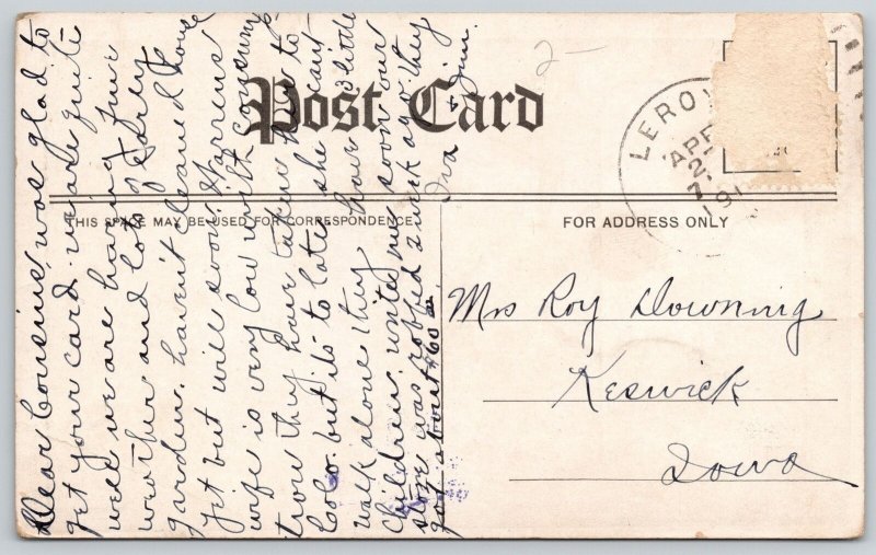 Artist Signed Cobb Shinn Comic Pun~Fantasy Dressed Duck~c1910 Postcard