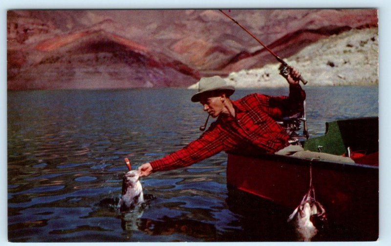 LAKE MEAD, NV ~ Bass Fishing JASON LUCAS Sports Afield Smoking Pipe  Postcard