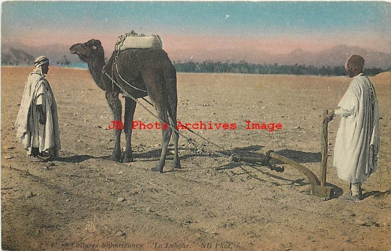 Middle East Ethnic Culture, Folklore Costume, Farmer with Camel in Sahara 