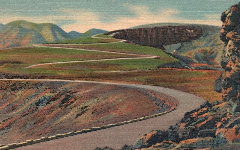 Vintage Postcard 1930s Tundra Curves Trail Ridge Rocky Mountain National Park CO