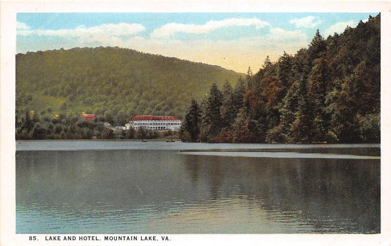 D70/ Mountain Lake Virginia Va 4 Postcards Mountain Lake Hotel Bear's Cliff c20s