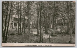 Allentown PA Cottages Among Trees At Waldheim 1912 Pennsylvania Postcard X28