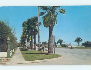 Unused Pre-1980 STREET SCENE Corpus Christi Texas TX G4711