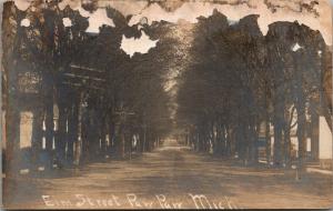 Paw Paw Michigan~Elm Street~Homes Back in Trees~c1908 Real Photo Postcard~RPPC 