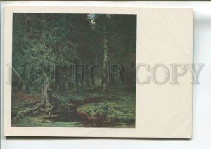484139 USSR 1932 year Klever virgin forest  GIZ publishing house postcard