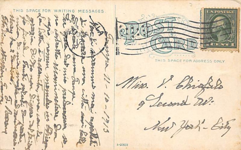 Scene on the Upper Hillsboro River  Tampa FL 