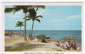 Crandon Park Beach Miami Shores Florida postcard