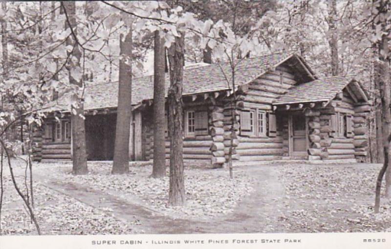 Illinois White Pines Forest State Park Super Cabin Real Photo