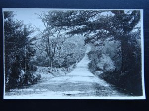 Staffordshire near LEEK Solomons Hollow - Old RP Postcard