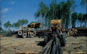 Dryden Ontario ON Lumber Logging Tractors Machinery Vintage Postcard