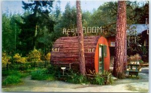 Postcard - He And She At Grundy's Redwood Terrace - California