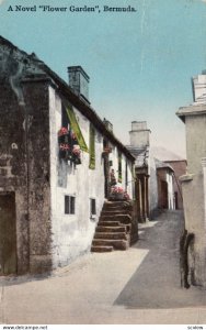 BERMUDA, 1900-1910's, A Novel Flower Garden