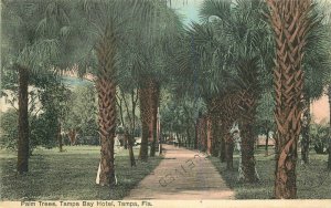 1908 Palm Trees Tampa Bay Hotel Tampa Florida Postcard Kress 8062