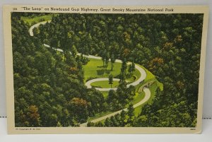 Loop Newfound Gap Highway Smoky National Park Vintage Postcard