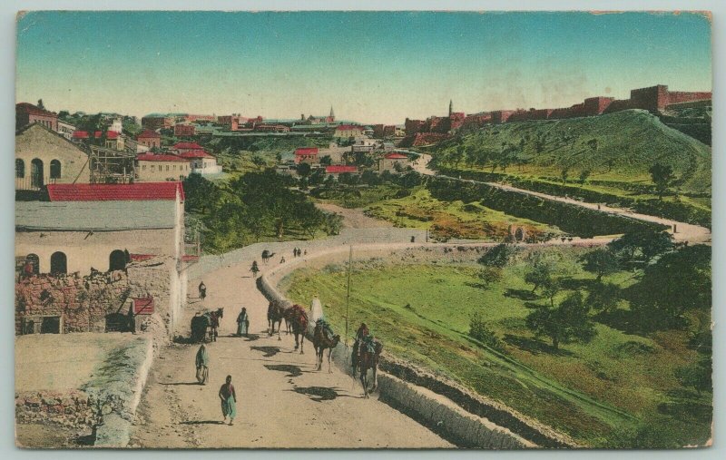 Jerusalem Israel~Handcolored~Camels & Pedestrians on Wall @ Edge of City~c1910 