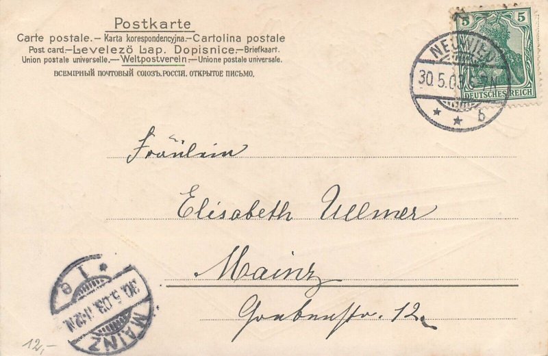 Pentecost floral beetle bugs pink box fantasy greetings postcard 1903 Germany 