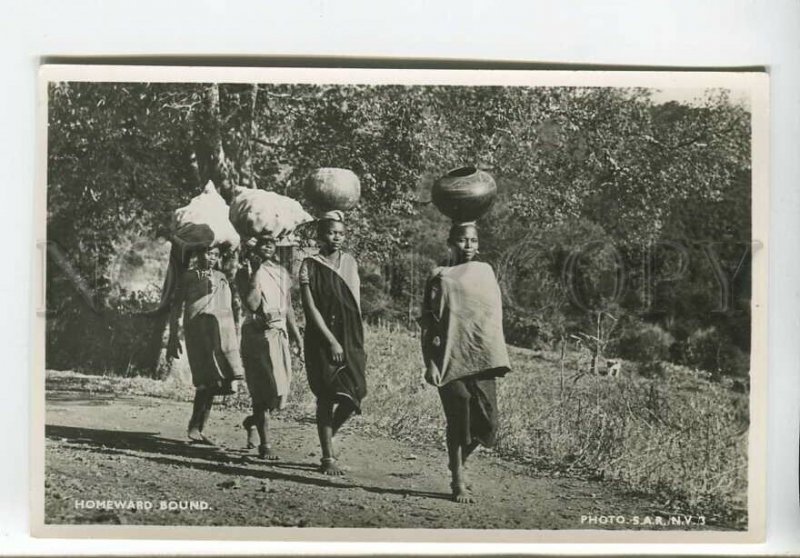 438832 SOUTH AFRICA Black girls Homeward bound Vintage photo postcard