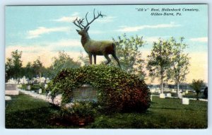 WILKES-BARRE, Pennsylvania PA ~ Elk's Rest HOLLENBACK CEMETERY c1910s Postcard