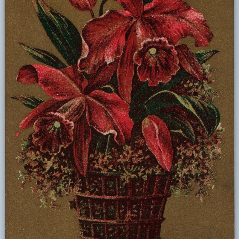 c1910s Soapine Advertising Postcard Potted Cattleya Orchid Flowers No Borax A195