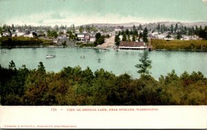 Washington Spokane View On Medical Lake