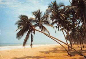 BR99090 typical palm lined beach winneba ghana africa