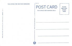 Water View Loch Sheldrake Tennis New York Postcard