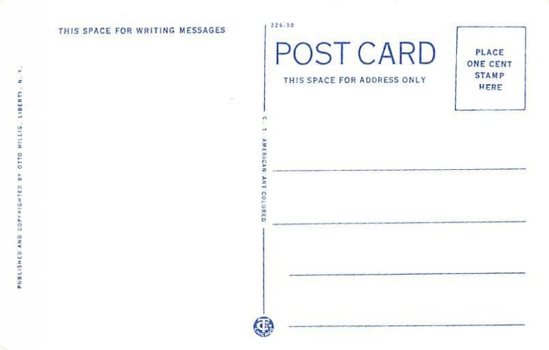 Water View Loch Sheldrake Tennis New York Postcard