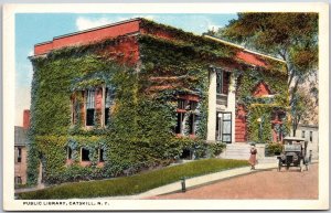 Public Library Catskill Mountains New York Roadway Plants In Building Postcard