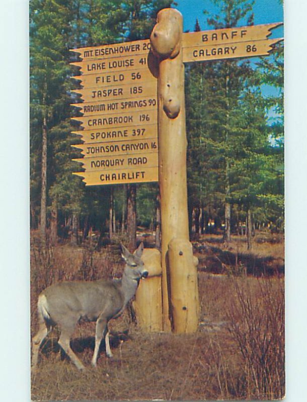Pre-1980 VINTAGE SIGN ON POSTCARD Banff National Park Alberta AB AD3772