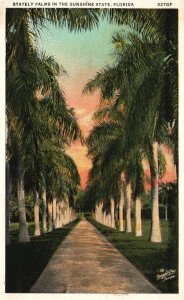 Vintage Postcard 1932 Stately Palms In The Sunshine State Florida Hartman Pub.