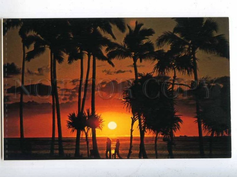 204351 ALOHA from HAWAII setting sun old postcard