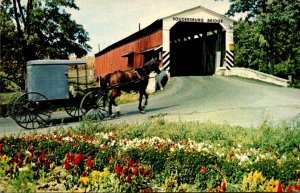 Bridges Soudersburg Covered Bridge and Amish Buggy Pennsylvania