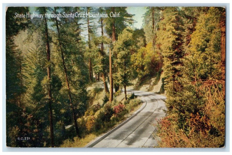 c1910 State Highway Through Santa Cruz Mountains California CA Postcard 