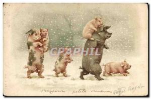 Postcard Old Pig Pig