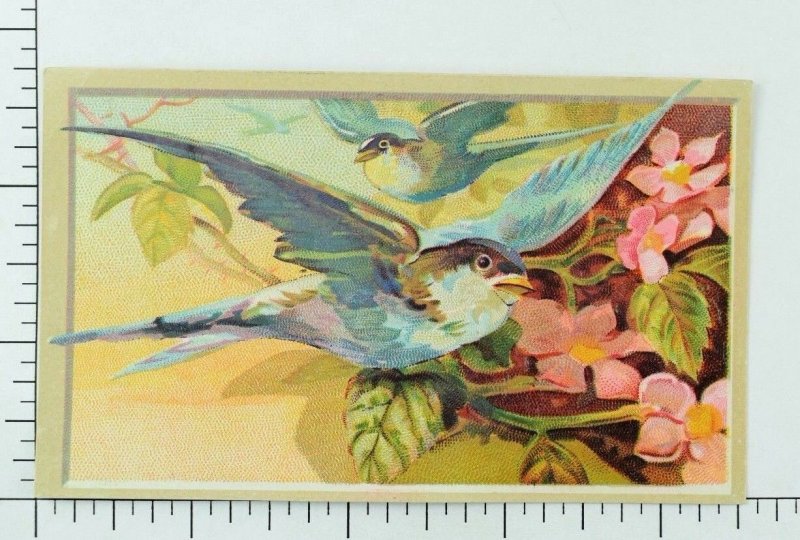 1880's Mandarin Tea Co. Coffees Beautiful Blue Wild Birds Flowers P78