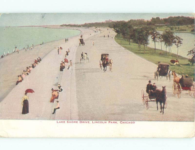 Divided-Back HORSE & CARRIAGE ON LAKESHORE DRIVE LINCOLN PARK Chicago IL c9108