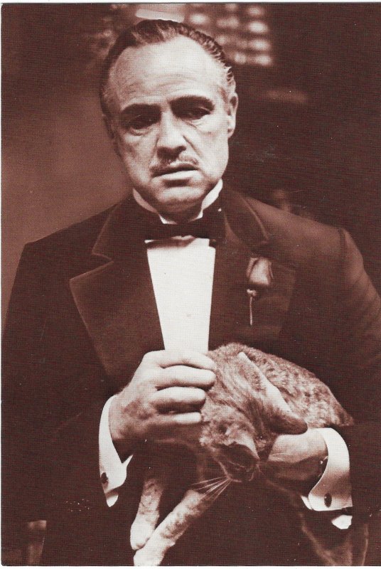 Film Star Marlon Brando as Seen in the Godfather Film 4 by 6 Continental