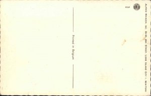 Mainzer Cats as People Fantasy No. 4926 Railroad Train Station Vintage Postcard