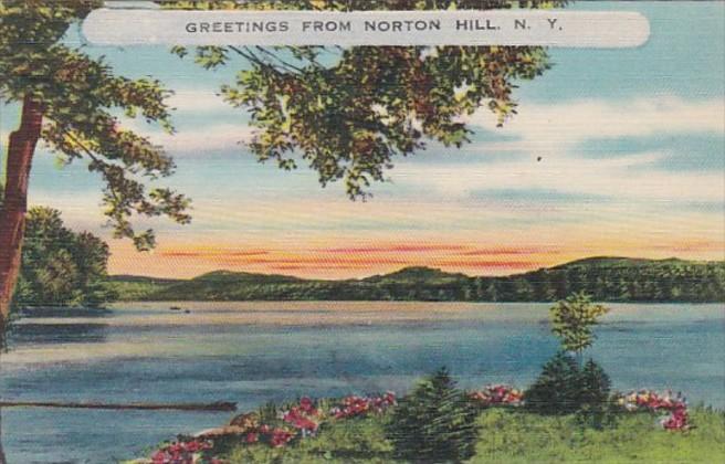 New York Greetings From Norton Hill