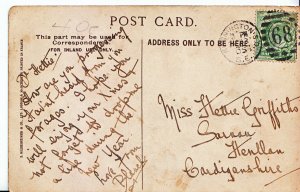 Genealogy Postcard - Family History - Griffiths - Henllan - Cardiganshire  U2546