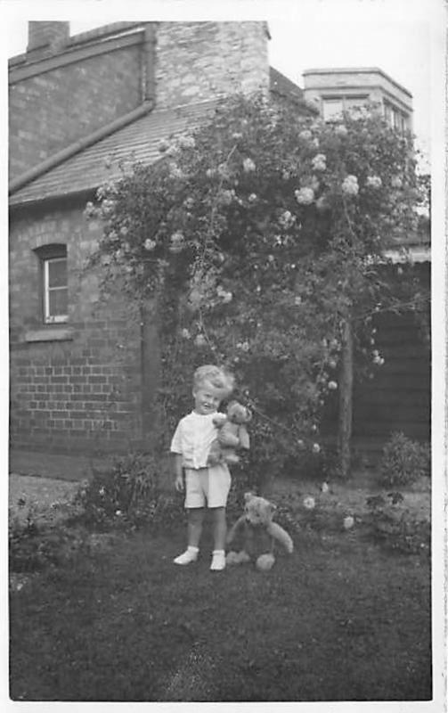 Child with stuffed Teddy bears Child, People Photo Unused 