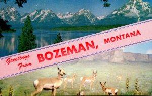 Montana Greetings From Bozeman