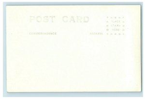 c.1910 RPPC Petrified Forest Santa Rosa, CA #2 Postcard F65