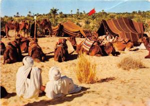 BG20909 nefta tunisia nomades  types folklore