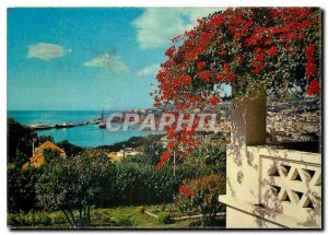 Modern Postcard Madeira A look at the city and the port of Funchal