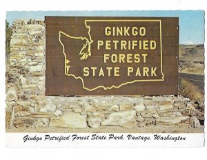 Ginkgo Petrified Forest State Park Vantage Washington  4 by 6