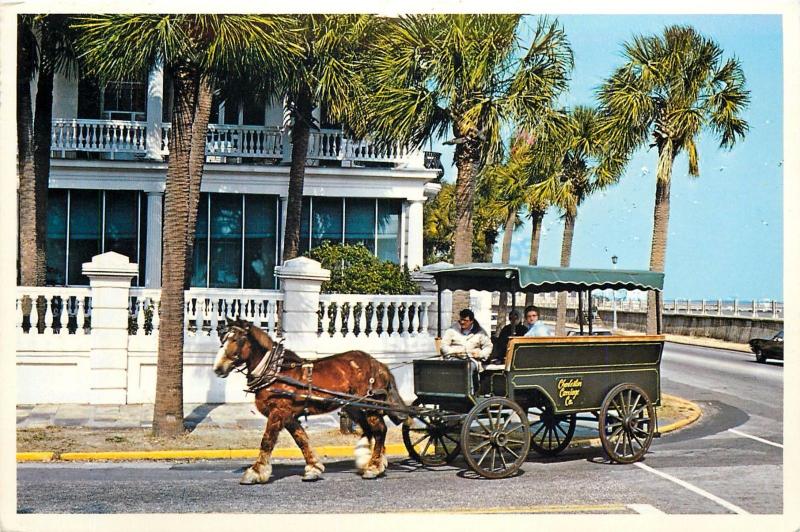 Charleston Street Scene Charleston SC Postcard Horse Drawn Carriage Company Co