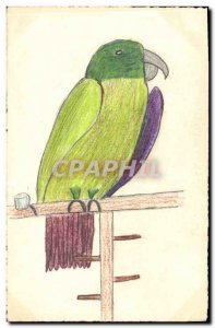 Old Postcard Fancy (drawing hand) Budgie Bird
