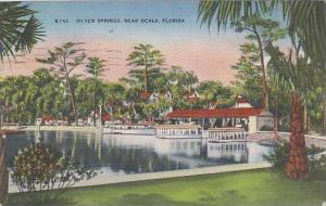 Florida Silver Springs Near Ocala