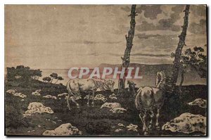 Postcard Old Horses